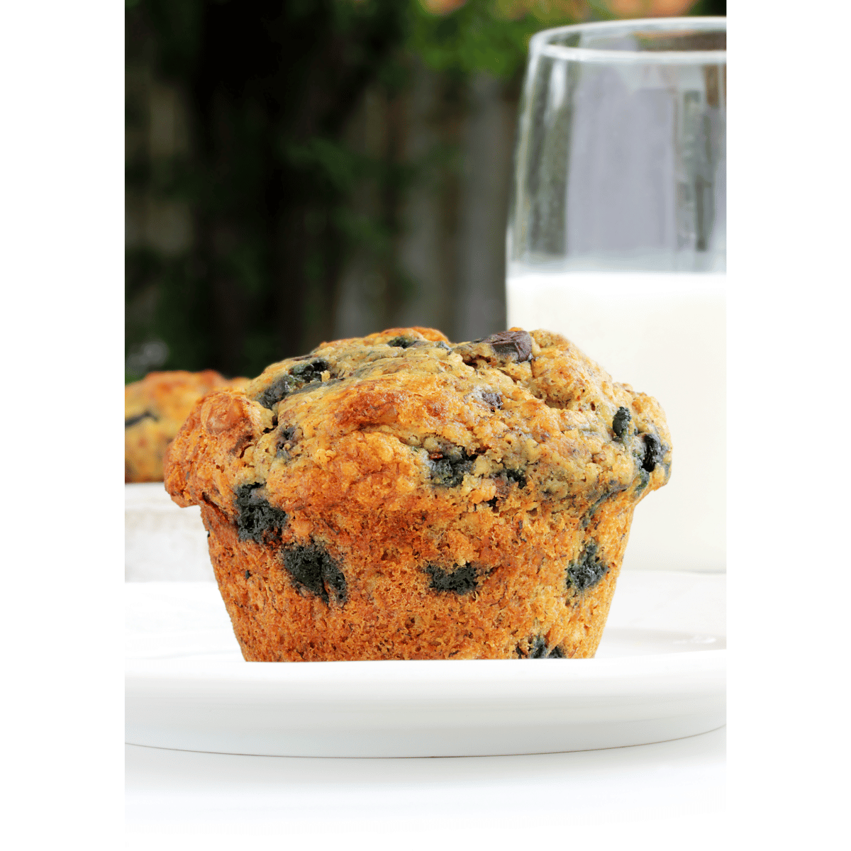 recette muffin bleuet avoine santé