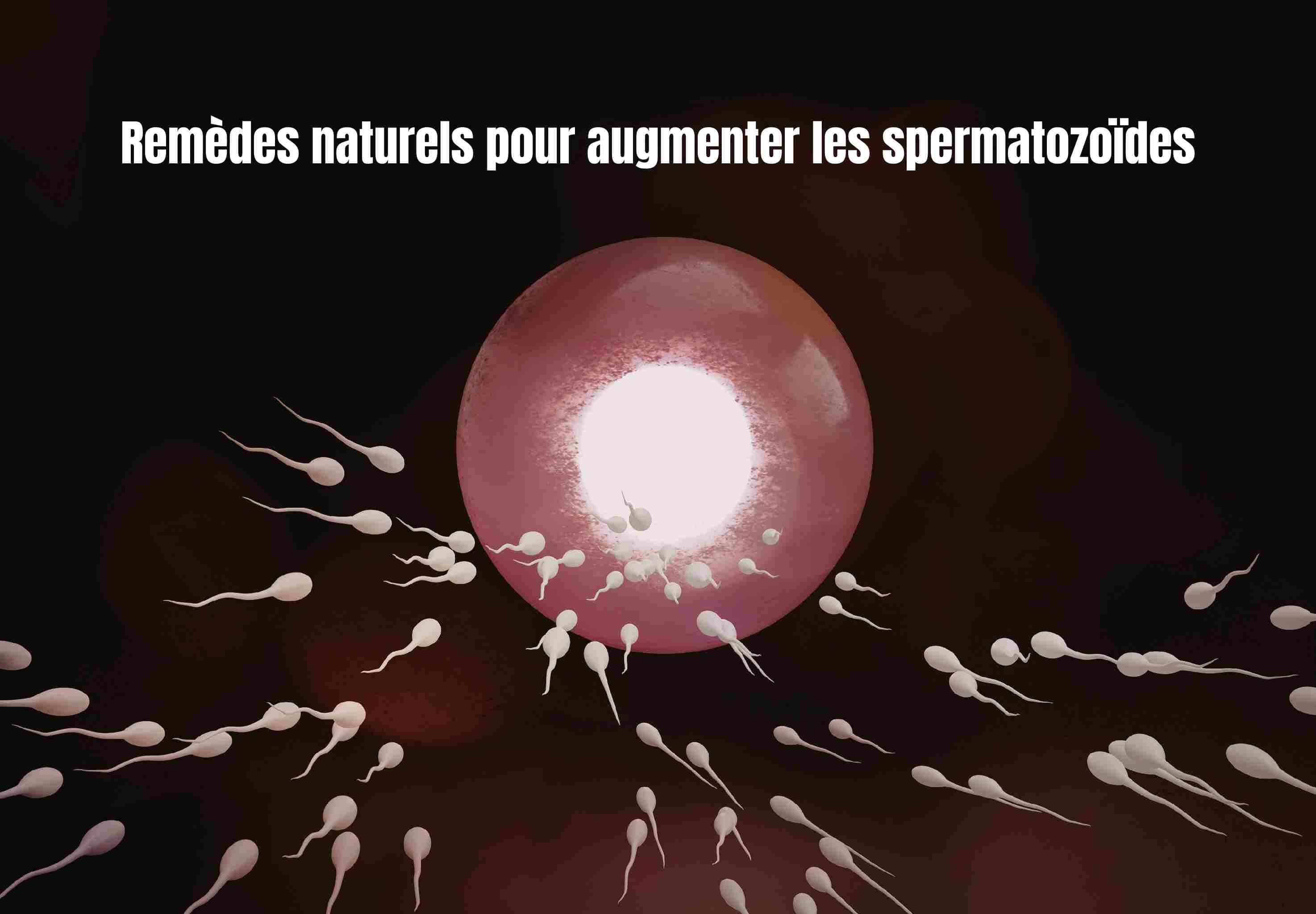 Remèdes naturels pour augmenter les spermatozoïdes