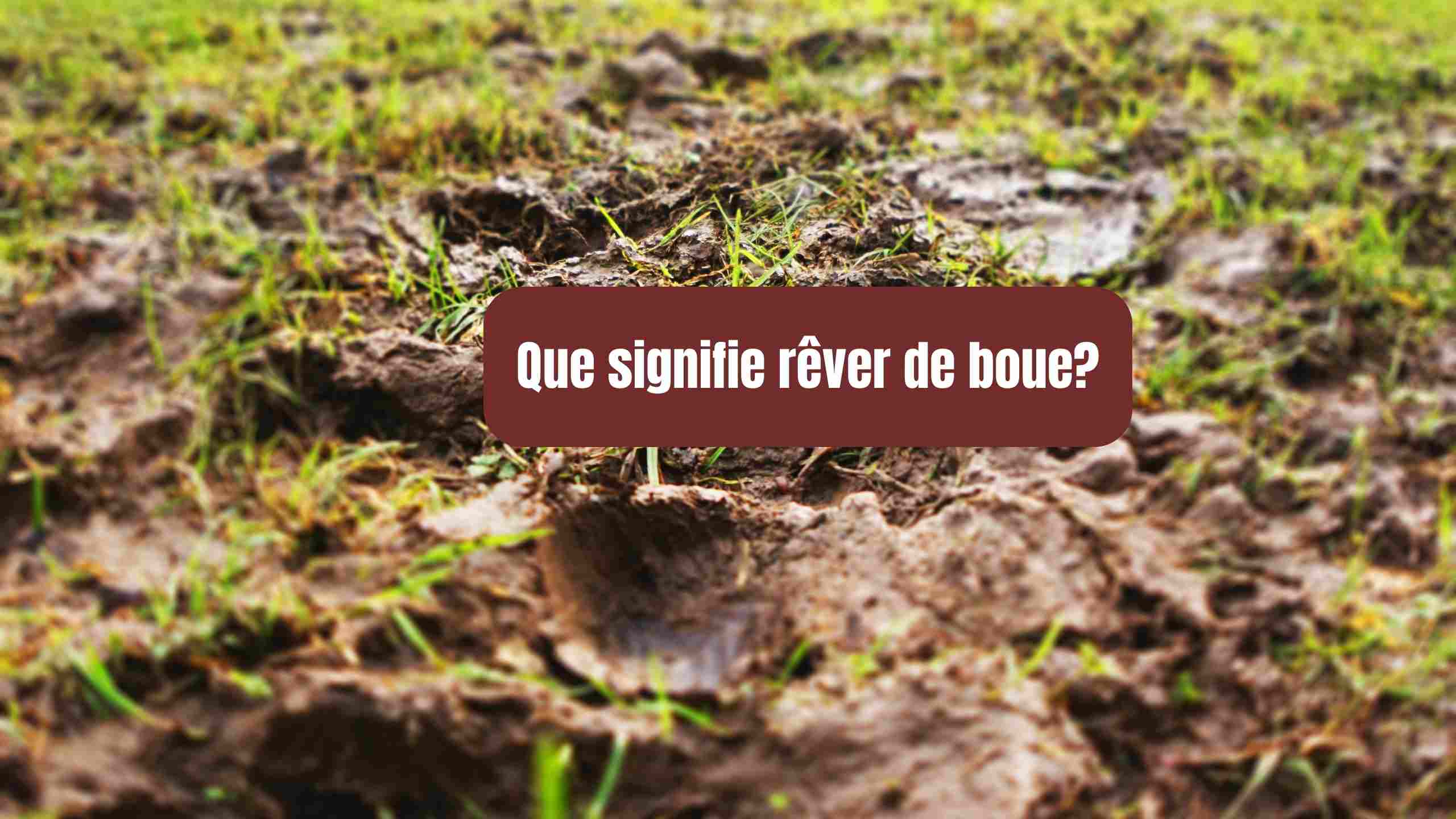 rever de boue