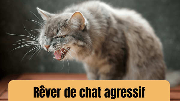 rever de chat agressif