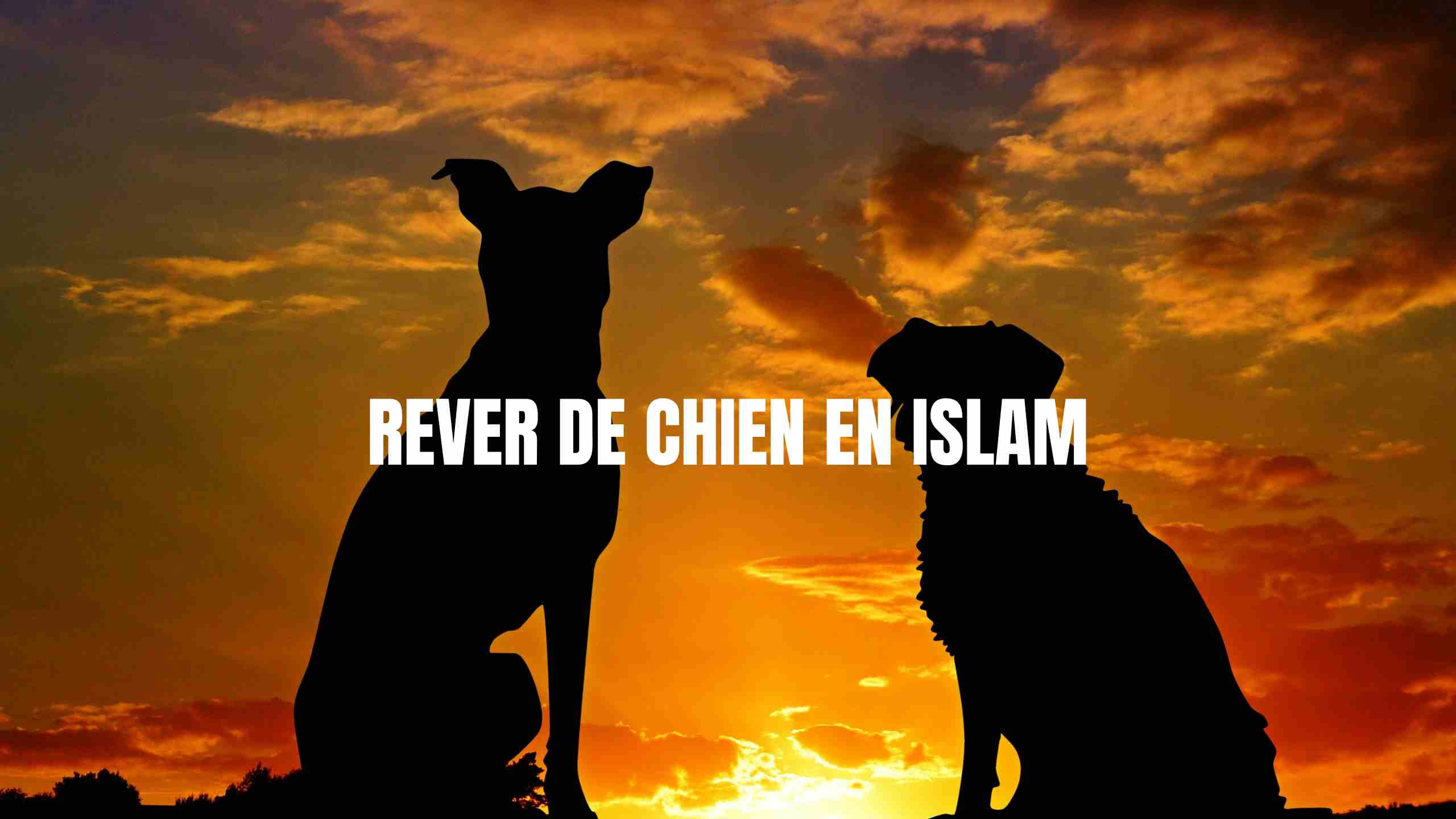 rever de chien en islam