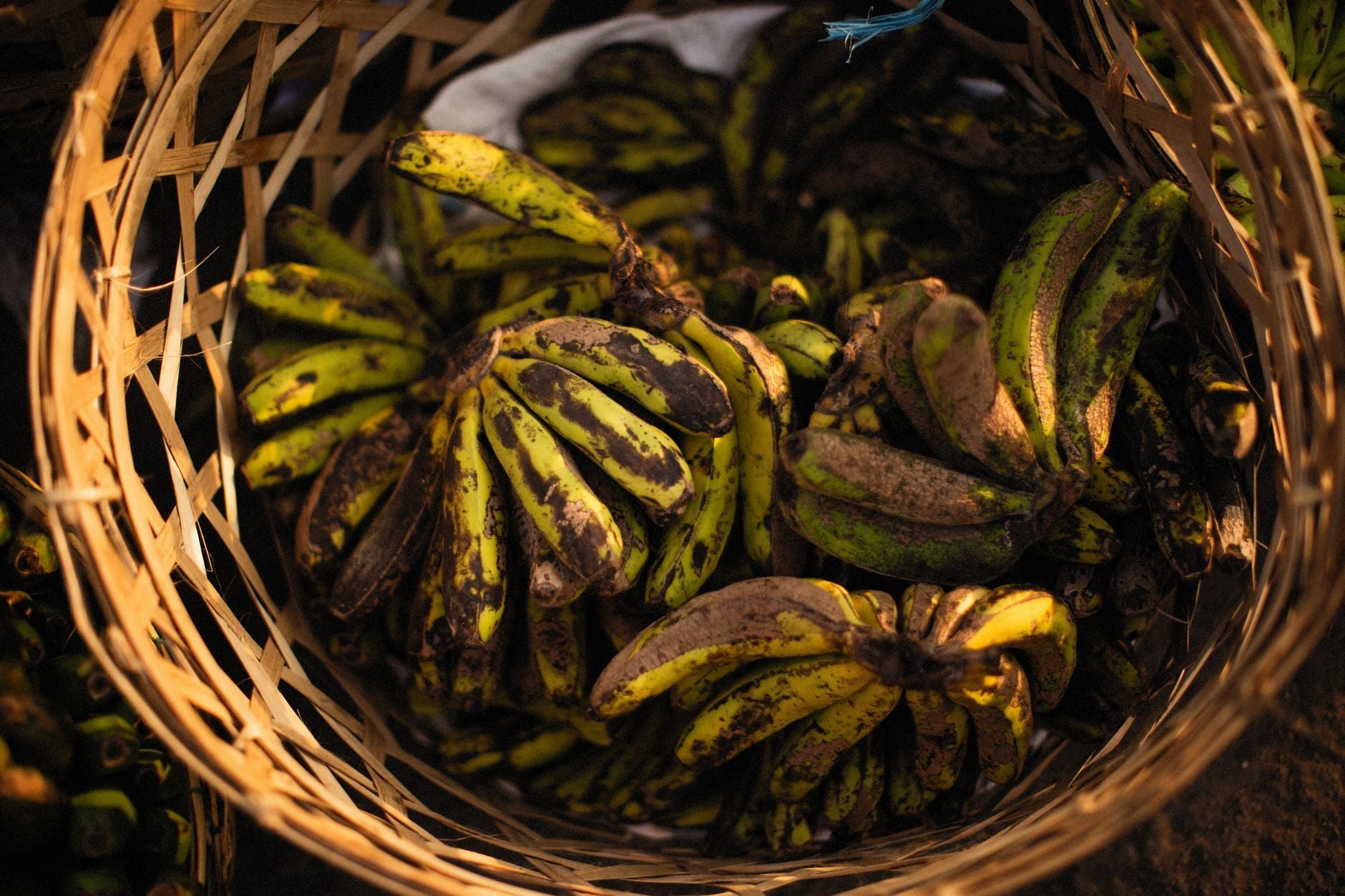 Rêver de fruits pourris : signification, symboles et interprétation astrologique