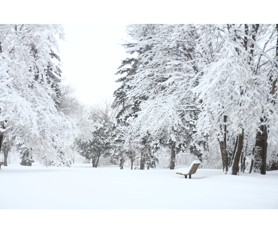 rêver de la neige