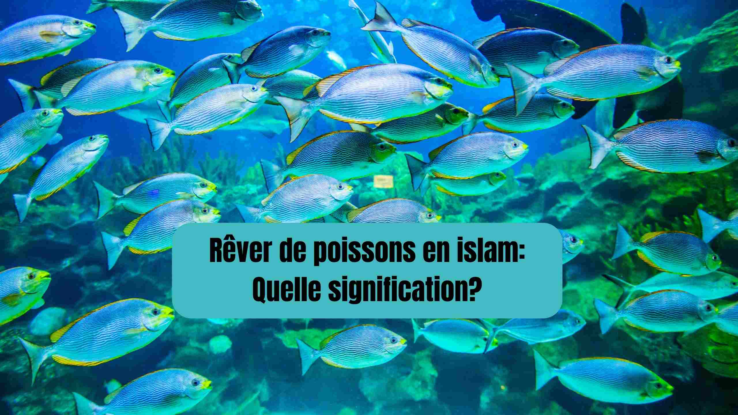 rever de poissons en islam