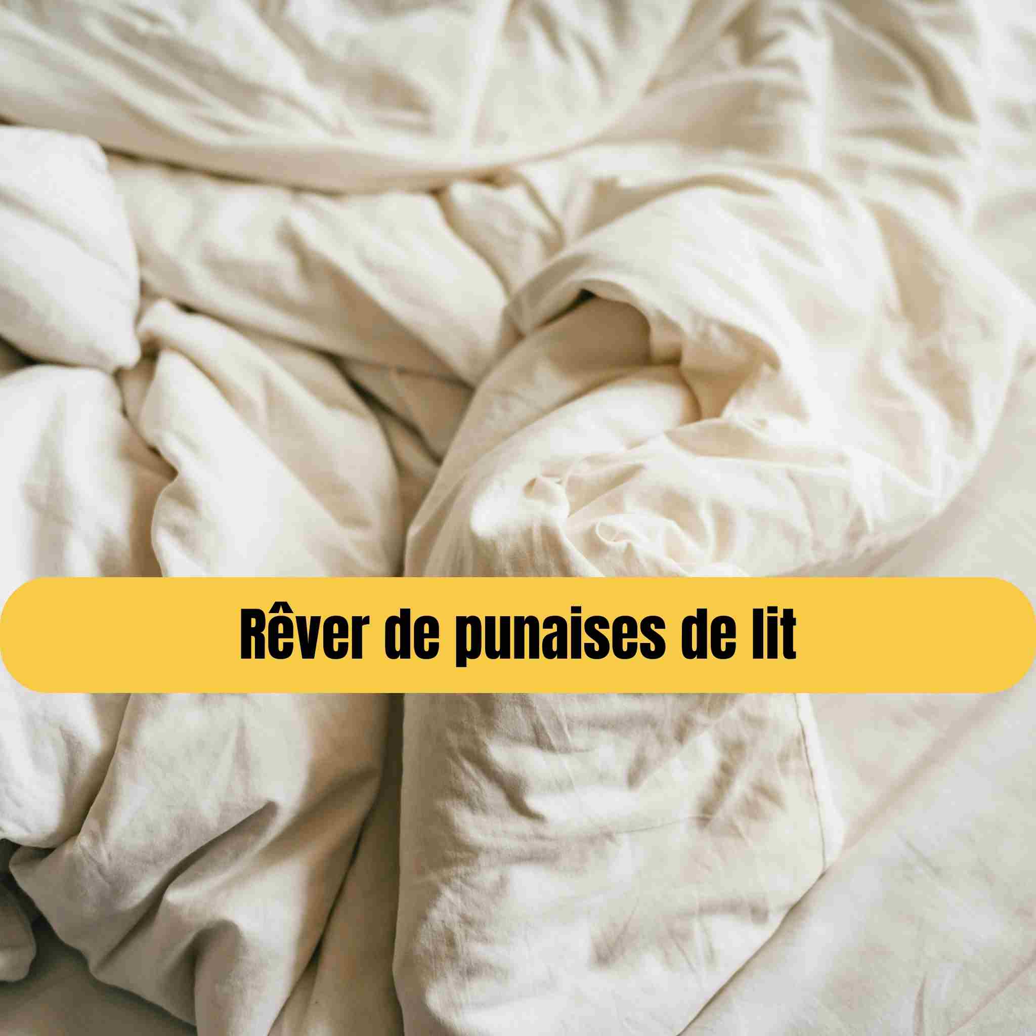 Rêver de punaises de lit : significations & symboles