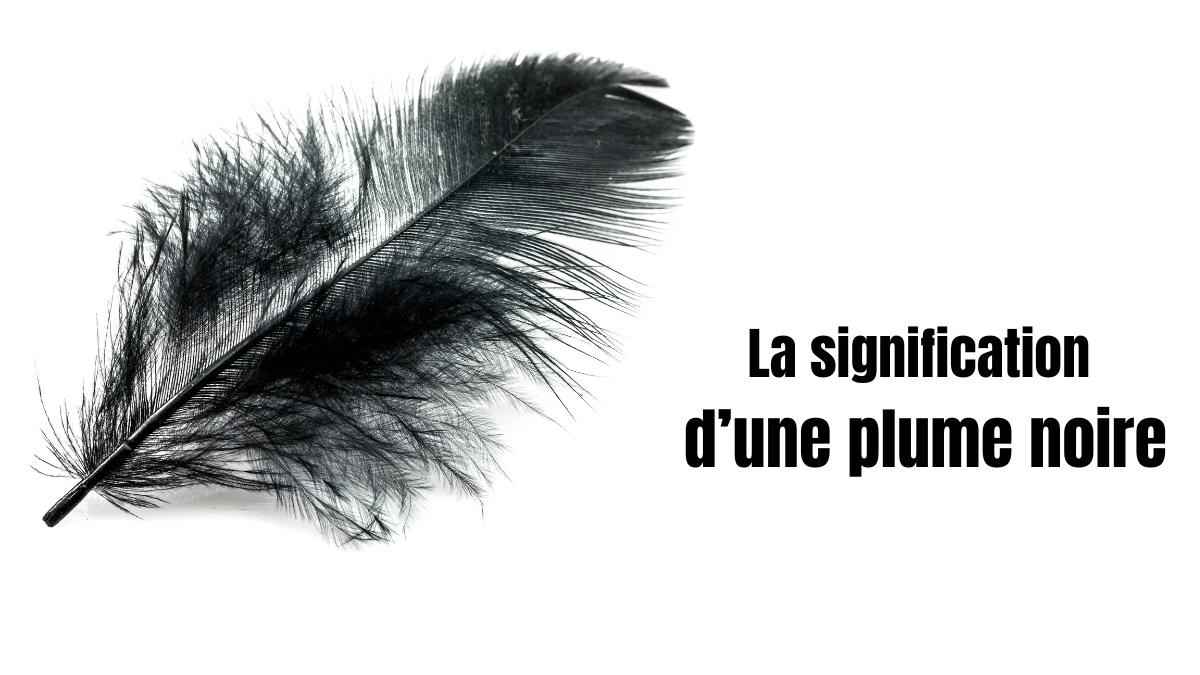 plume noire signification