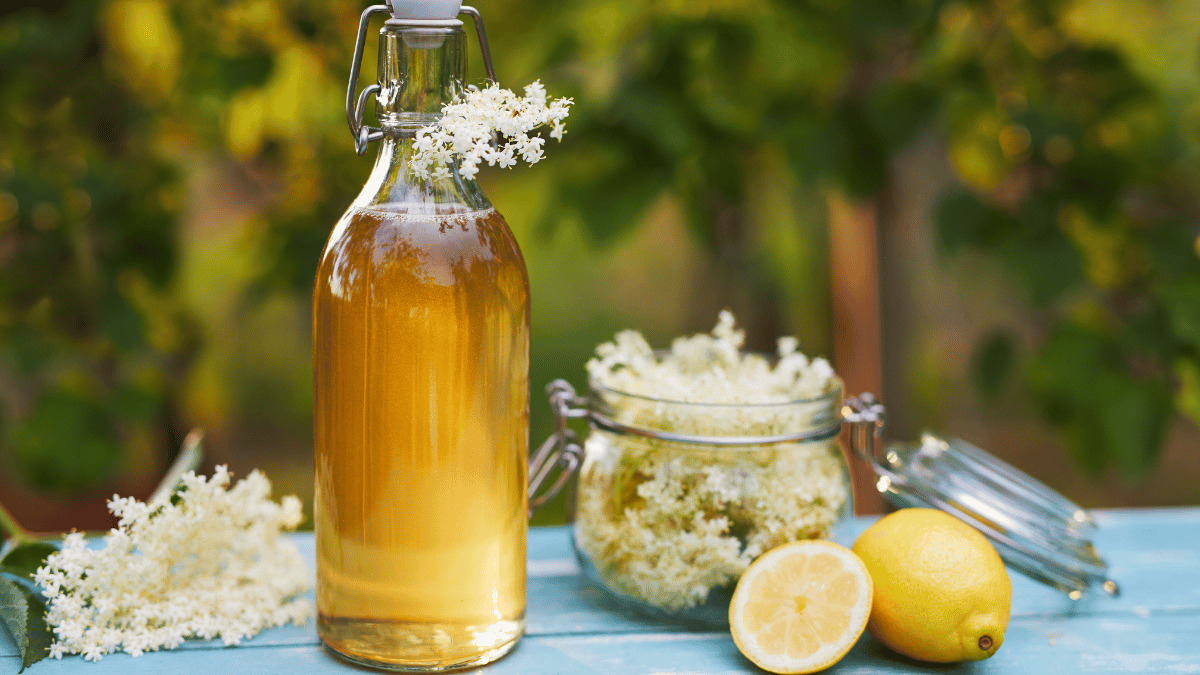 sirop de fleurs de sureau