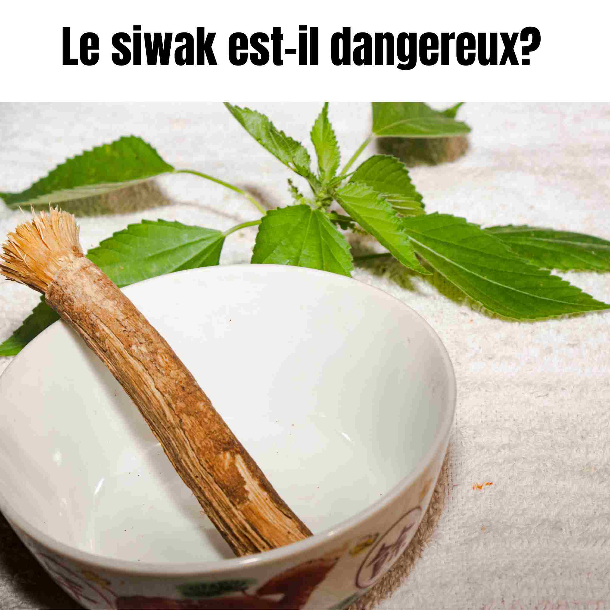 Siwak dangereux ? Vérité sur les dents, l’émail et l’avis des dentistes