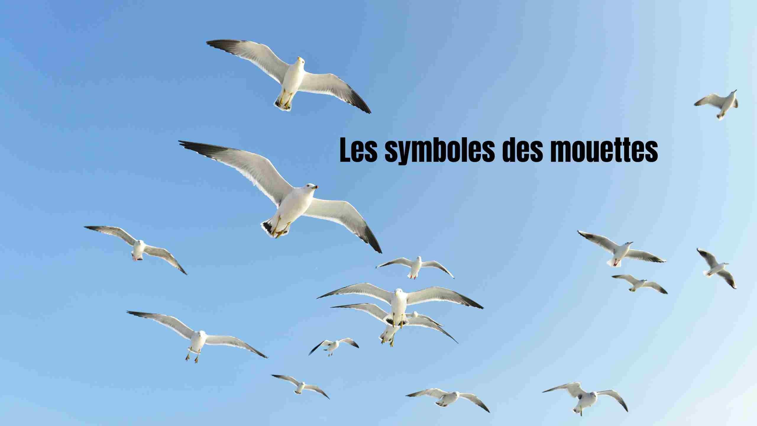 mouettes et symboles