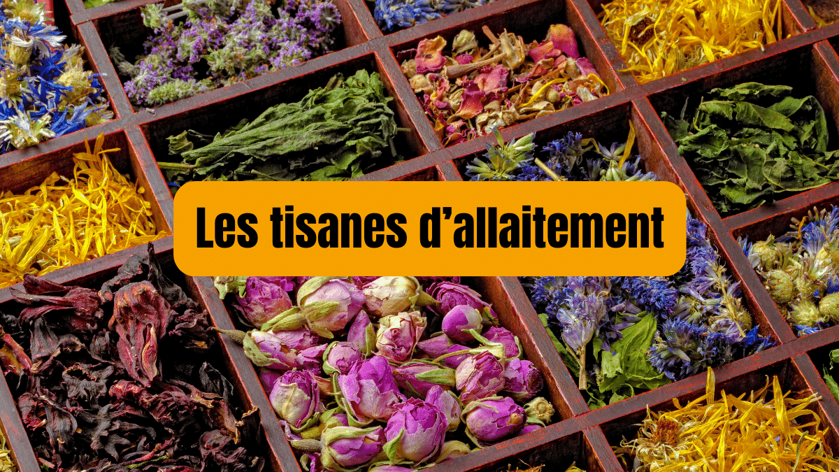 tisane allaitement