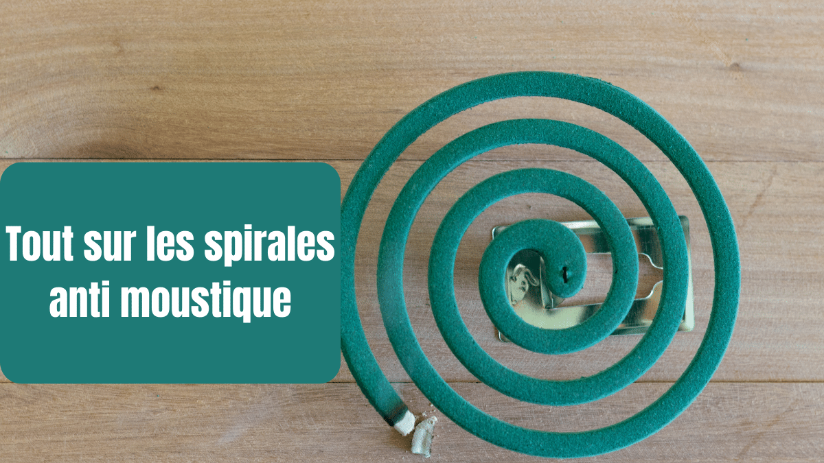 tout sur les spirales anti moustiques